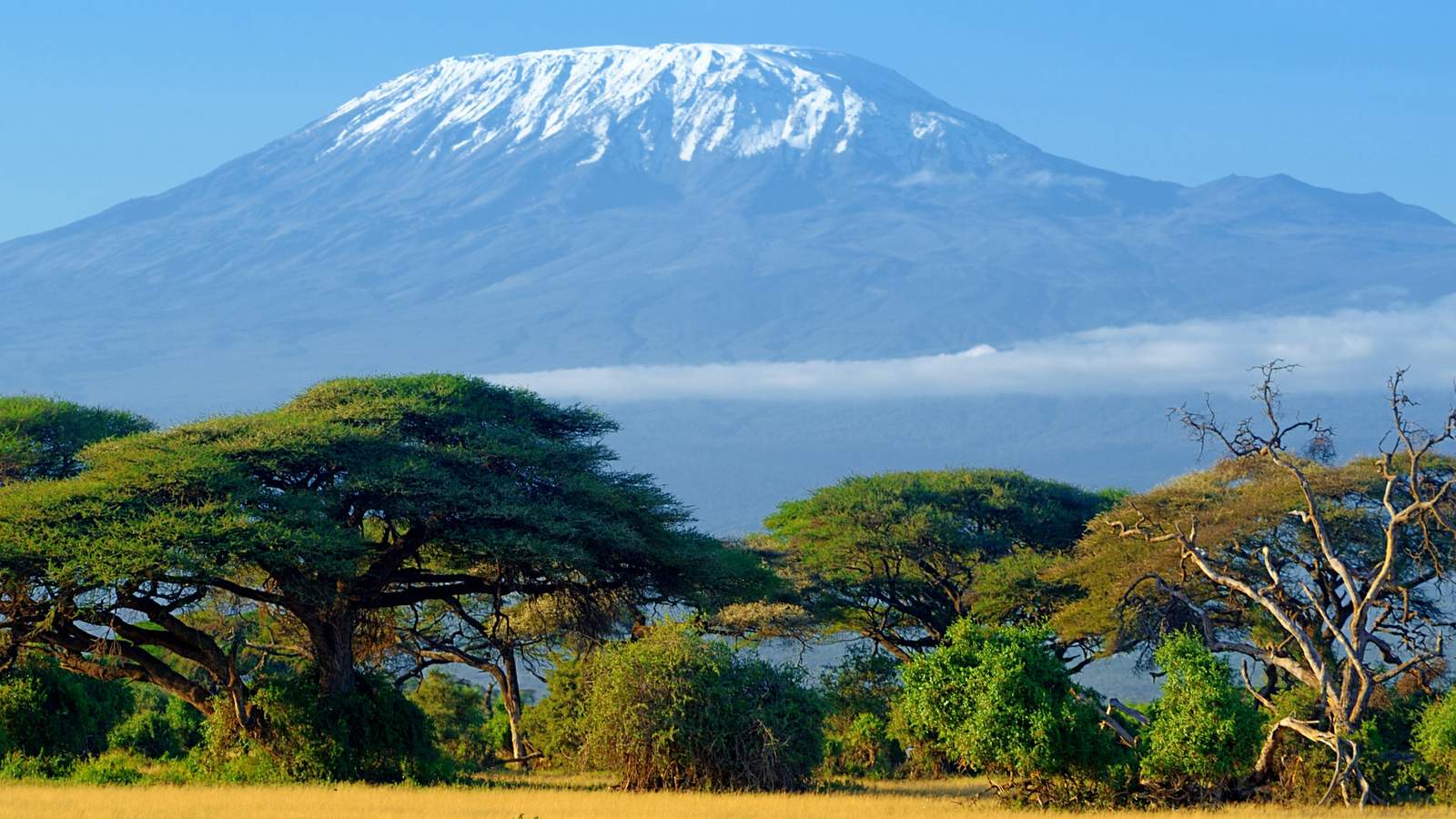 Amboseli National Park