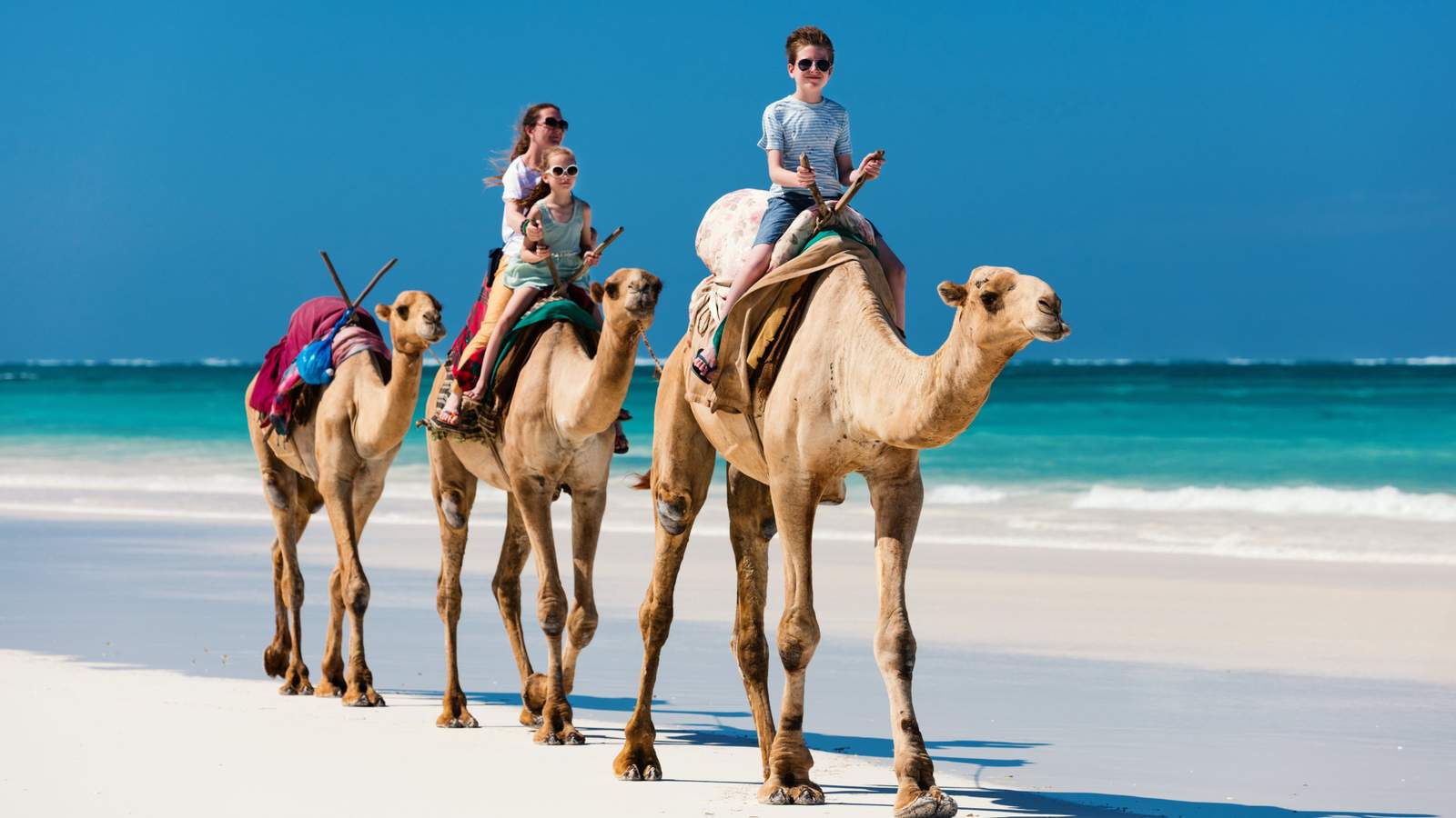 Mombasa & Diani