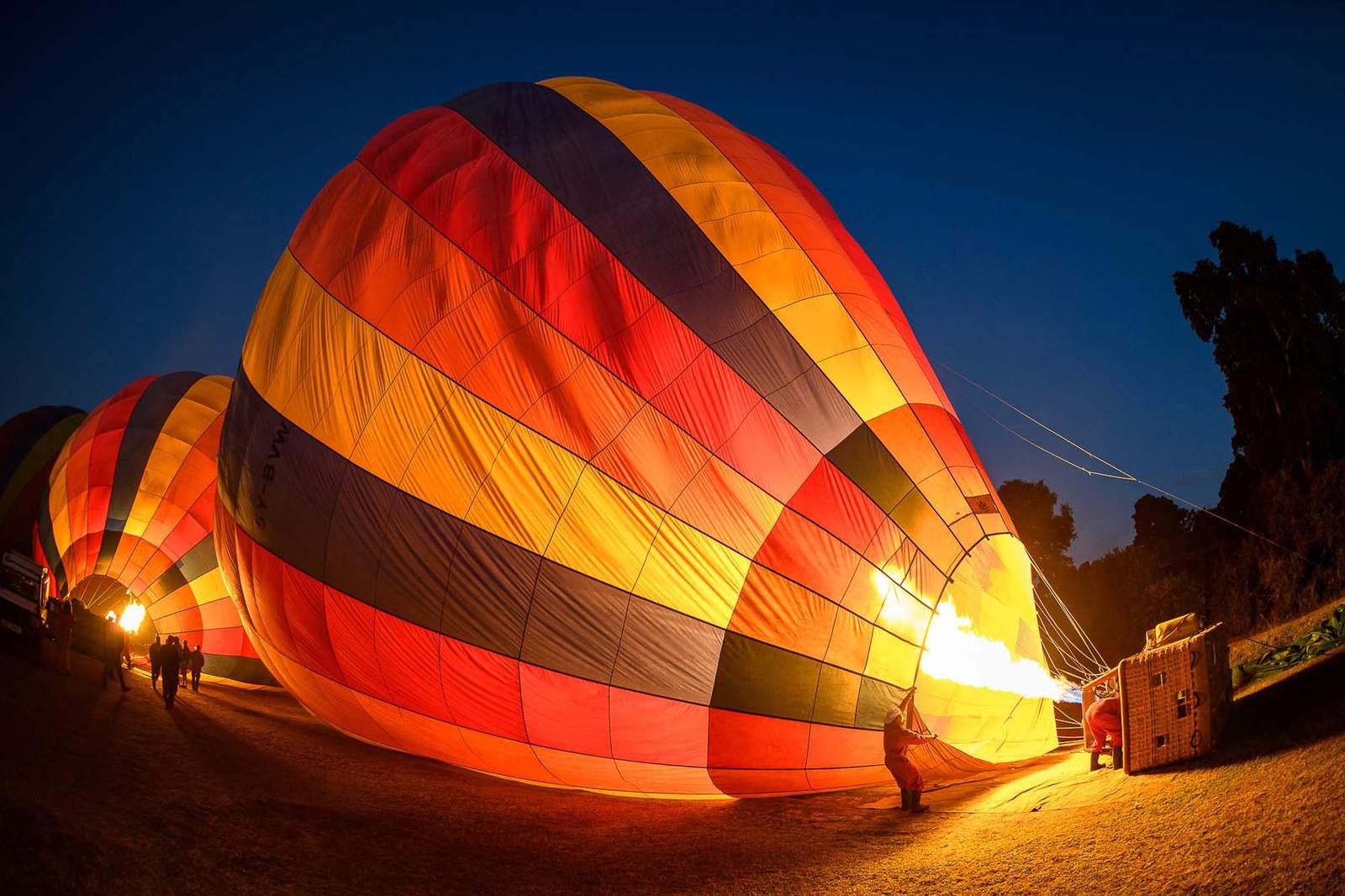 Aerial Adventures