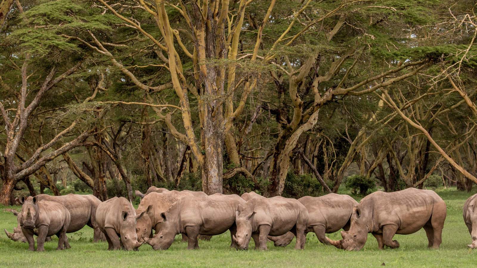 Laikipia Plateau