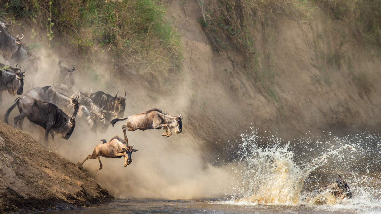 The Masai Mara