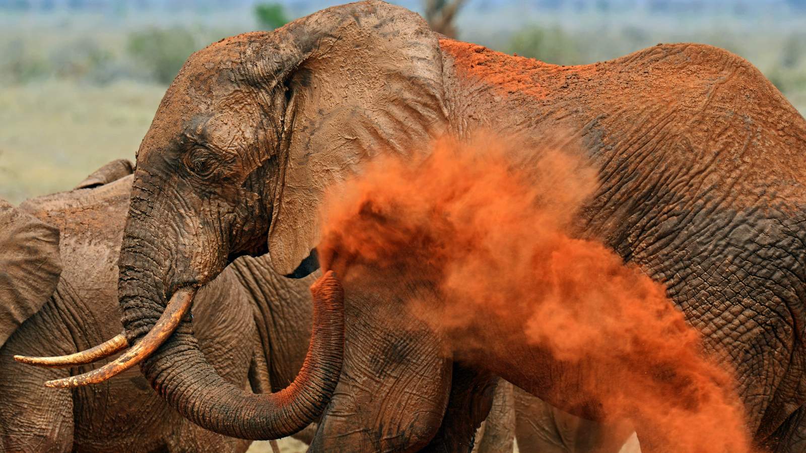 Tsavo & The Chyulus